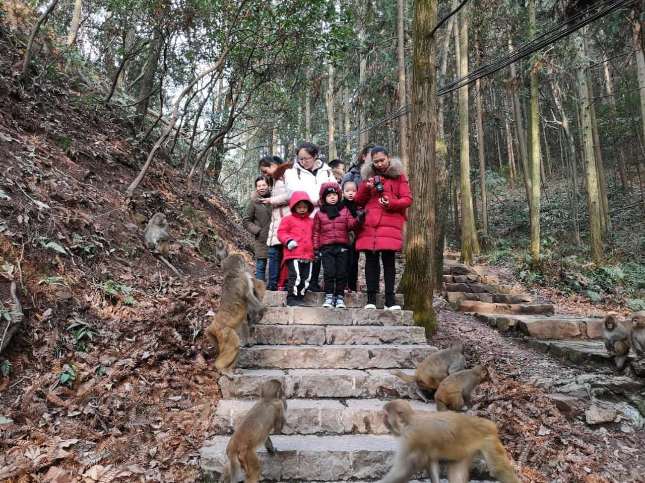 Zhangjiajie National Park Yuelu Homestay Экстерьер фото
