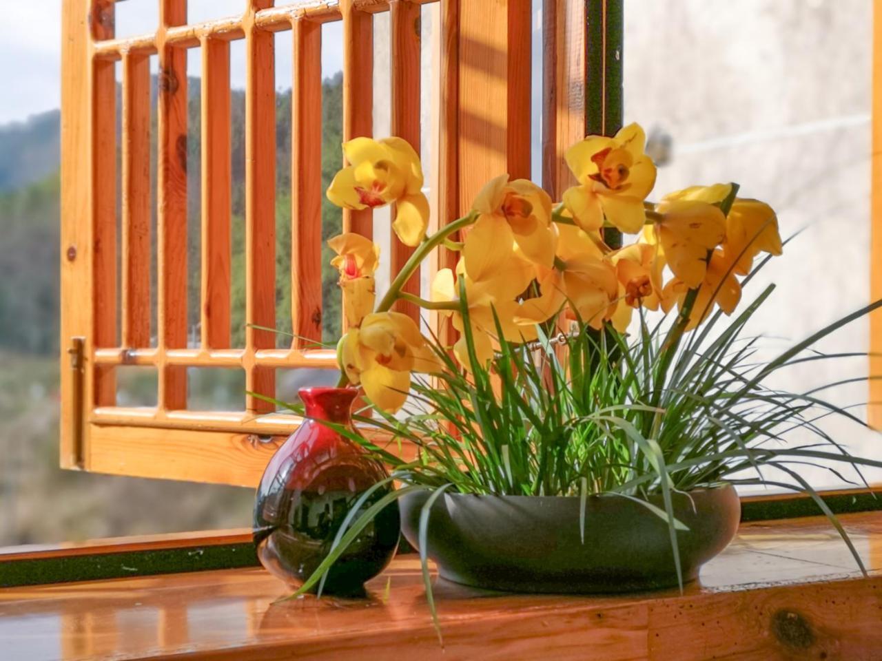 Zhangjiajie National Park Yuelu Homestay Экстерьер фото